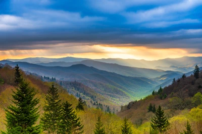 spring in the smokies