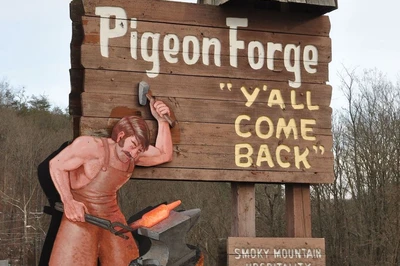 winter pigeon forge