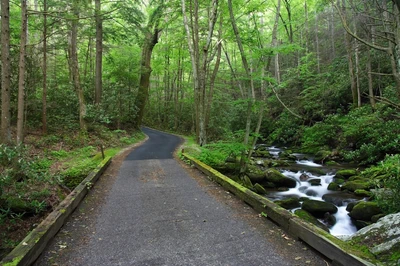 roaring fork scenic drive in the smoky mountains