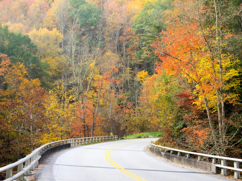 autumn colors great smoky mountains