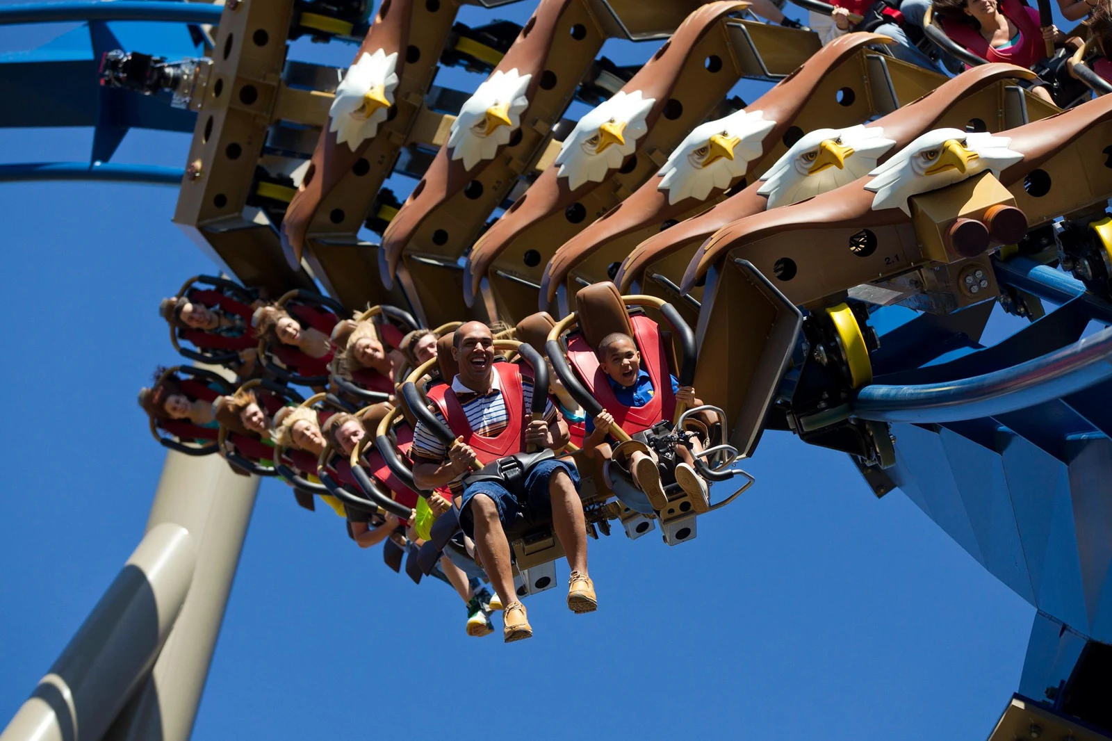 wild eagle rollercoaster at dollywood in pigeon forge