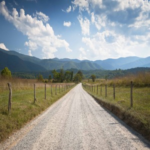 Rural Dirt Road Farm Landscape in Cades Cove TN