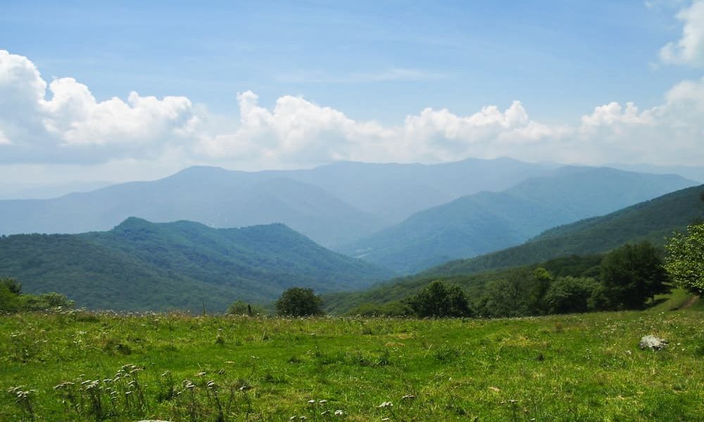 Top 3 Reasons to Look Forward to Spring in the Smoky Mountains