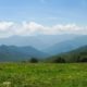 Top 4 Reasons Why Families Love Spending Spring Break in the Smoky Mountains