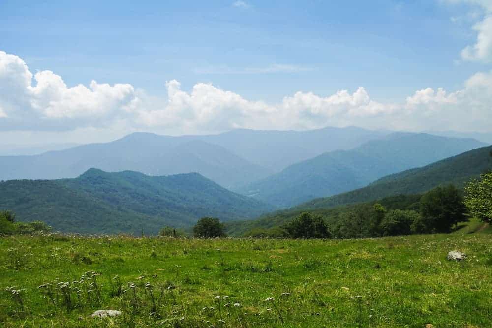 Top 3 Reasons to Look Forward to Spring in the Smoky Mountains