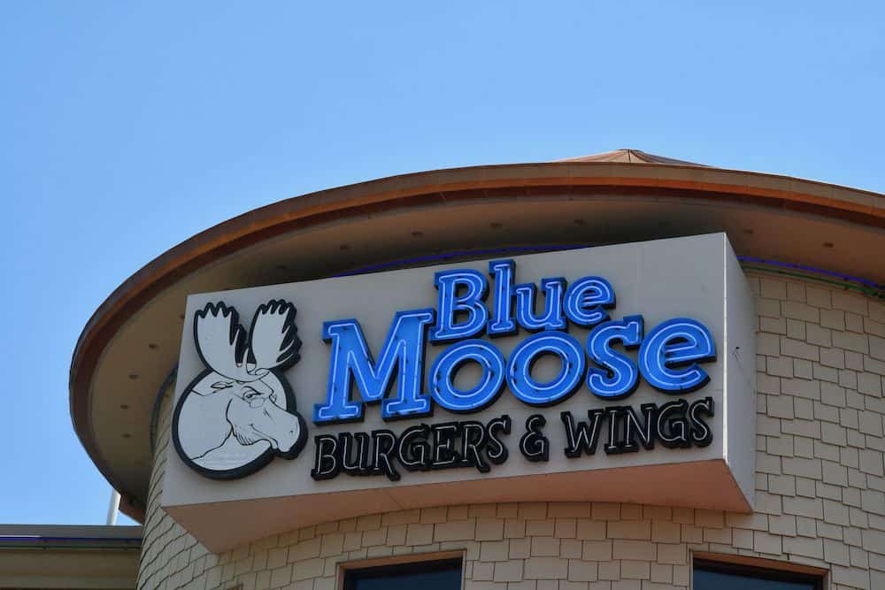 Blue Moose Restaurant