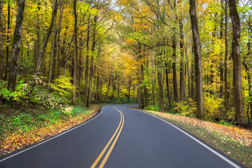 fall road in the Smoky Mountains