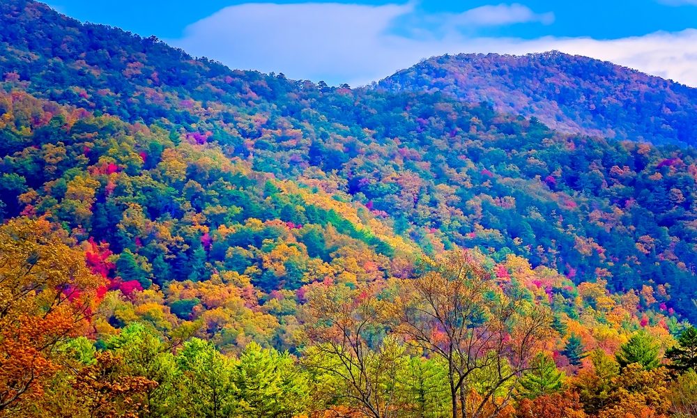 5 Reasons Why You Need to Experience Fall in the Great Smoky Mountains