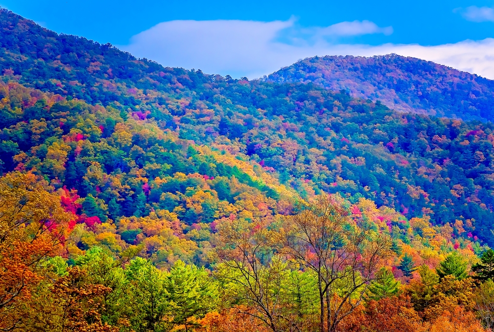 5 Reasons Why You Need to Experience Fall in the Great Smoky Mountains