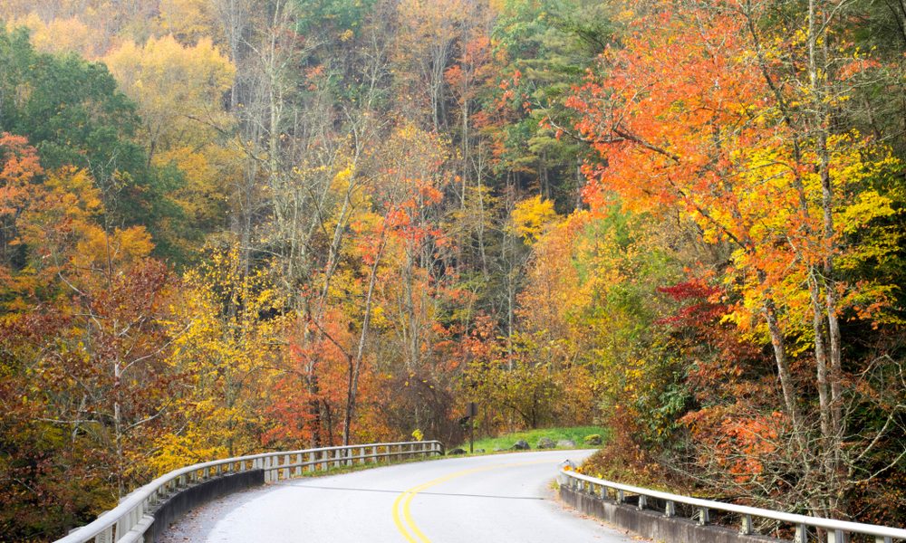 5 Scenic Drives in the Smoky Mountains That You Need to Experience