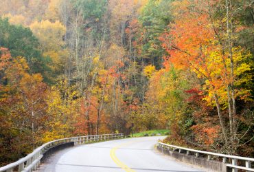 5 Scenic Drives in the Smoky Mountains That You Need to Experience