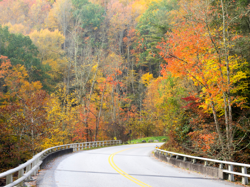 autumn colors great smoky mountains