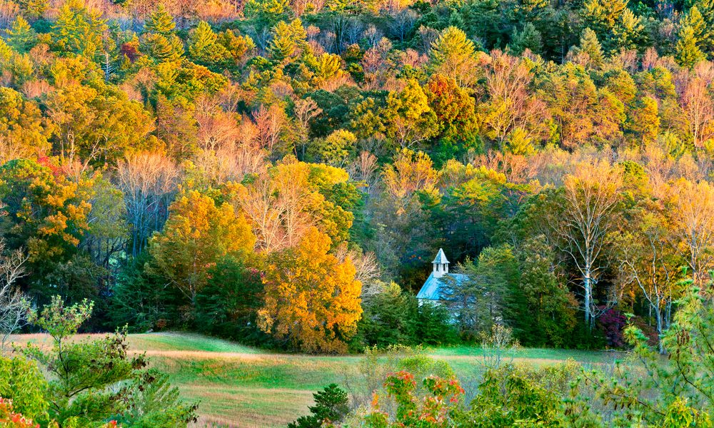 Top 4 Places to See the Spectacular Fall Foliage in the Smoky Mountains